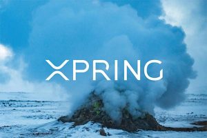 リップル(ripple)のXpring（スプリング） プロジェクト