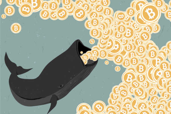 Bitcoinのボラティリティは、実はビットコインクジラのせいではない、という調査結果