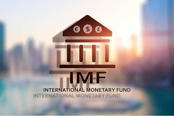 国際通貨基金報告書 デジタルマネーはネットワークの発展により法定通貨を凌駕する