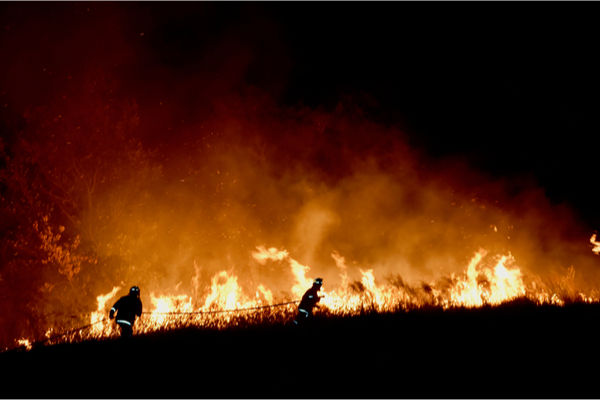 豪州の森林火災に寄附100万ドル　バイナンスの持続したクリプトによる社会貢献
